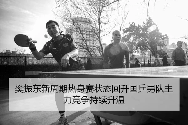 樊振东新周期热身赛状态回升国乒男队主力竞争持续升温